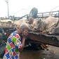 7 injured, cows die in Lagos-Ibadan Expressway accident [NAN]