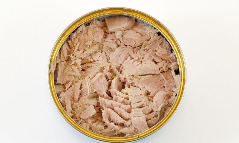 Canned tuna