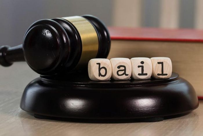 Court bail [India Legal]
