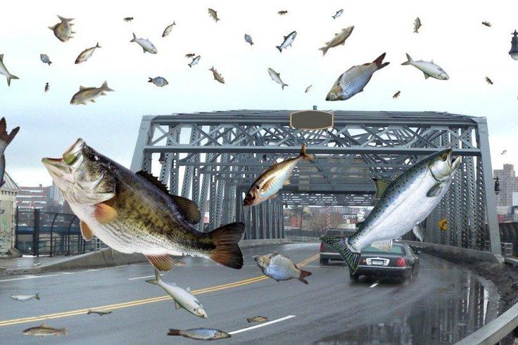 Science still can't fully explain some earth happenings [USAHerald]