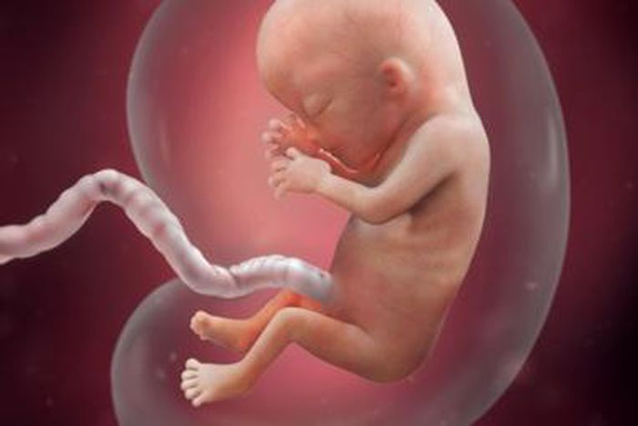 The energy requirement of pregnancy [babycenter]