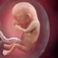 The energy requirement of pregnancy [babycenter]