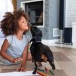 Each item contributes to your dog's overall well-being [iStock]