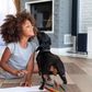 Each item contributes to your dog's overall well-being [iStock]