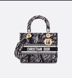 Dior handbag [DIOR]