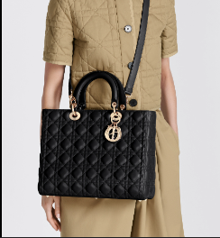 Dior handbag