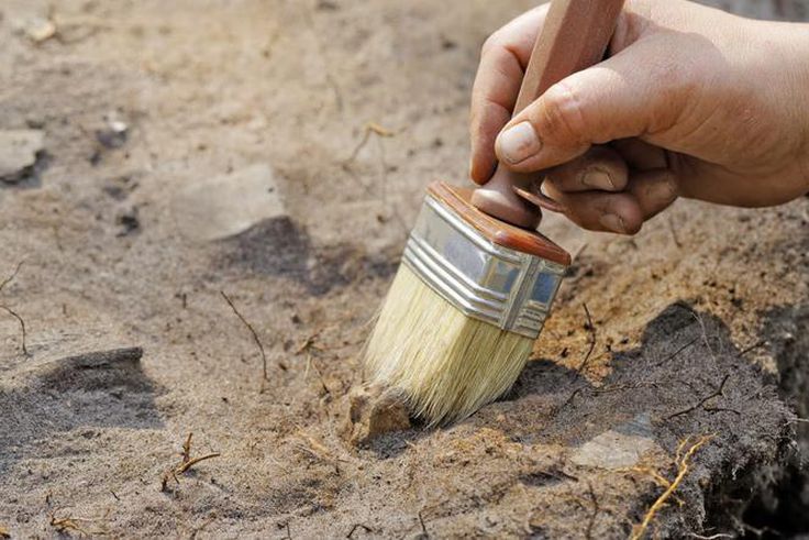 Archaeology [Shutterstock]