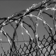 Barbed wire
