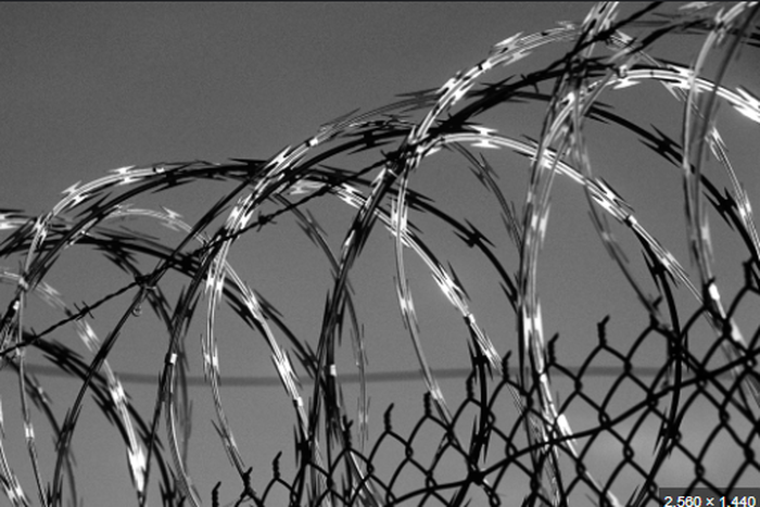 Barbed wire