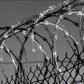 Barbed wire
