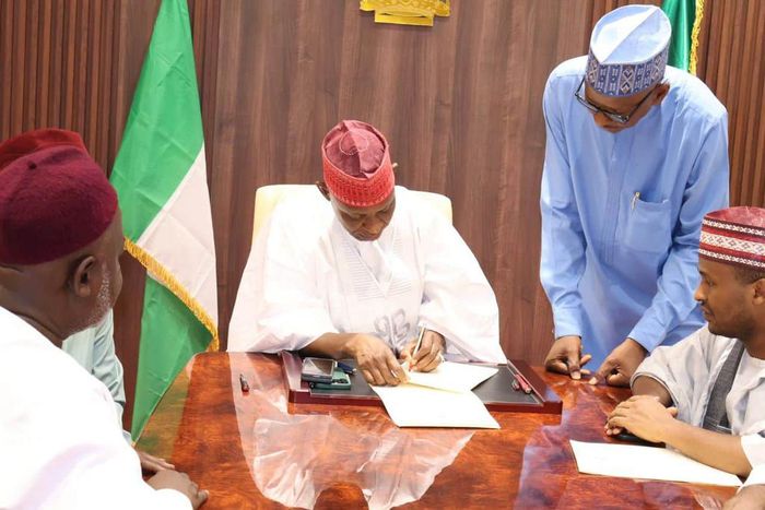 Governor Yusuf signs premarital health screening law [SolaceBase]