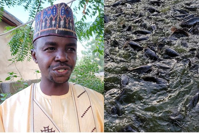 Mr Adamu Mahmuda, a civil servant in Gombe, who is into fish farming