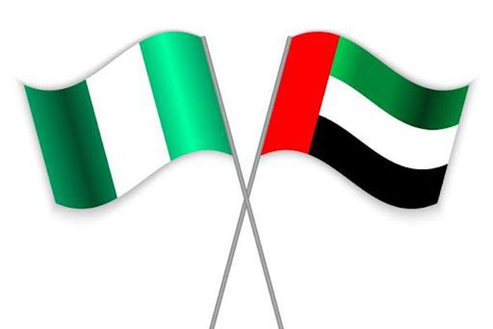 UAE considering slashing Visa/DVN fees for Nigerians