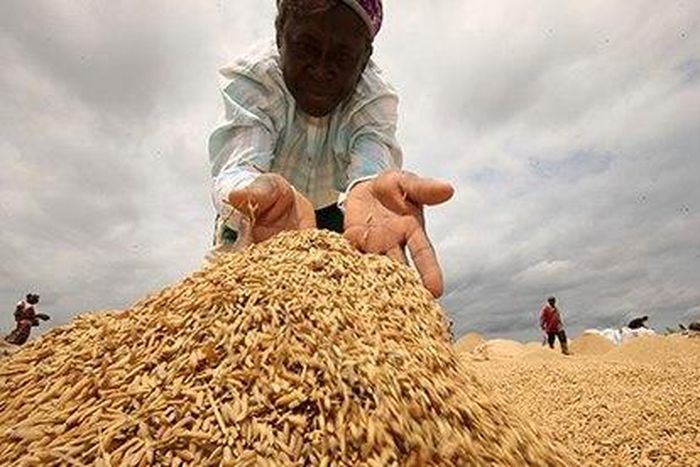 Local rice farmers have kicked against the decision of the ministry to allow rice importation through three land borders of the country.