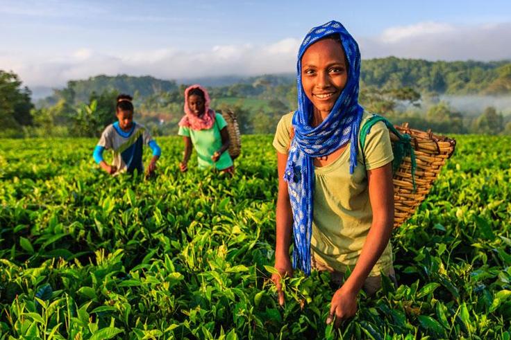 African Nations to dominate world’s top 10 highest-growing economies [World Finance]