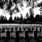 Mortuary [Joseph-Albert Kuuire - Medium]