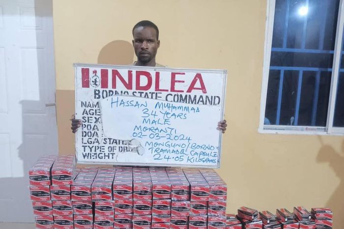 NDLEA intercepts 3.1m pills of opioids, others in 6 states