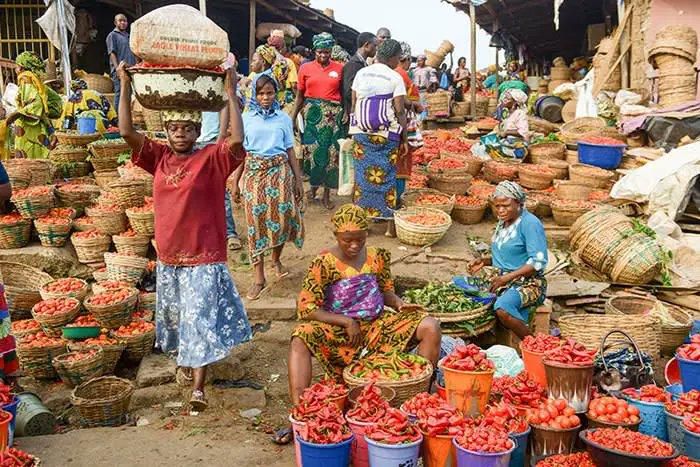 FG admits Nigeria facing food security crisis, sets up committee to tackle hunger [Vanguard]