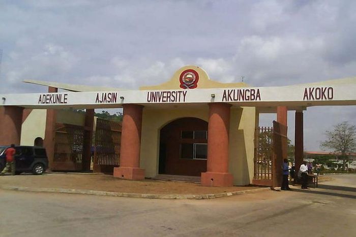 Adekunle Ajasin University, Akungba Akoko (AAUA) (Daily Post)