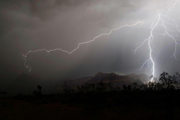 Bangladesh is planting millions of palm trees to reduce the risk from lightning strikes following a similiar scheme in Thailand