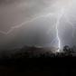 Bangladesh is planting millions of palm trees to reduce the risk from lightning strikes following a similiar scheme in Thailand