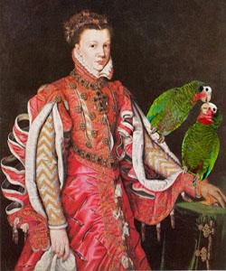 Parrots were kept as pets [ParrotFunZone]