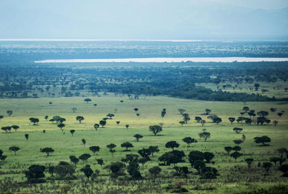 Queen Elizabeth National Park