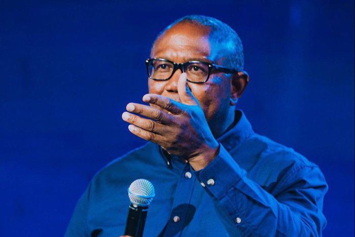 The former Labour Party presidential candidate, Peter Obi  [Twitter: Obi]