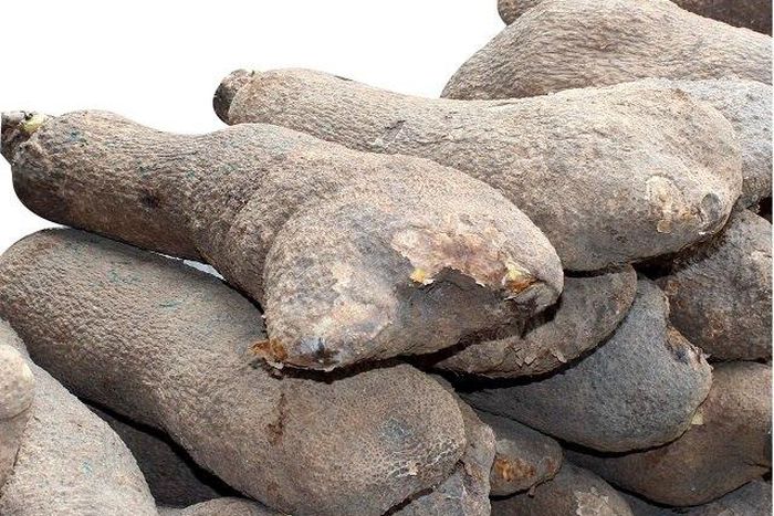 Tubers of yams in Abuja market