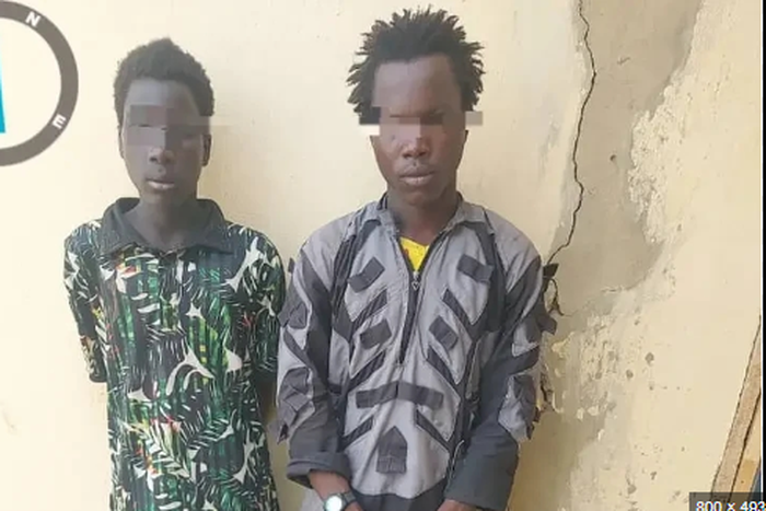 Boko haram suspects [Daily Nigerian]