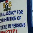 National Agency for the Prohibition of Trafficking in Persons (NAPTIP) [quick news africa]