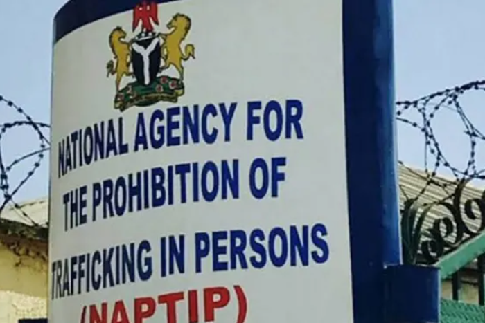 National Agency for the Prohibition of Trafficking in Persons (NAPTIP) [quick news africa]