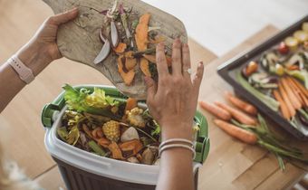 Trying out home composting can reduce your food waste, and it's beneficial for your garden or plants too.