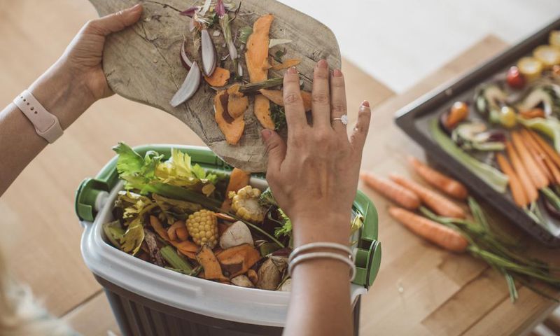 Trying out home composting can reduce your food waste, and it's beneficial for your garden or plants too.