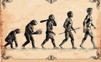Homo Sapiens originated in Africa over 300,000 years ago, according to a new study