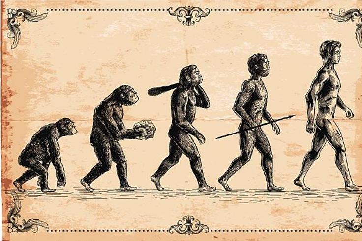 Homo Sapiens originated in Africa over 300,000 years ago, according to a new study