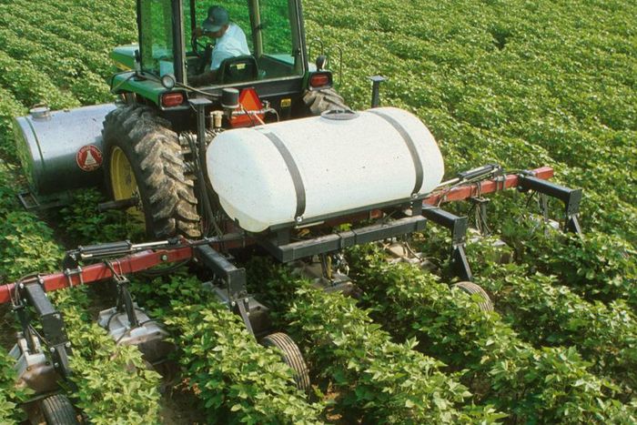 NIAE call for local solutions to economic challenges