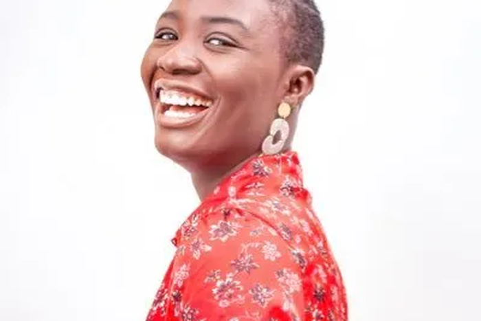 Pelumi Nubi set out to travel from London to Lagos by road [premiumtimes]