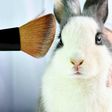 Animals used in skincare products [Treehugger]