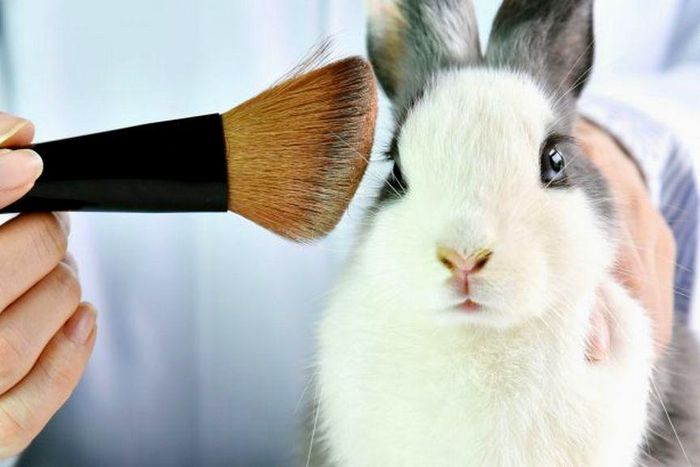 Animals used in skincare products [Treehugger]