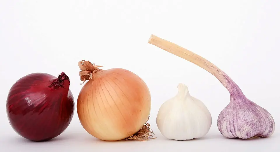Onions and garlic [mortadellahead]