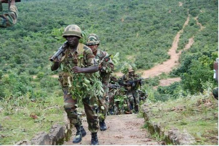 'One does not simply walk into Sambisa' by Fu'ad Lawal