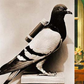 How did birds deliver messages [RadhaKapadia]