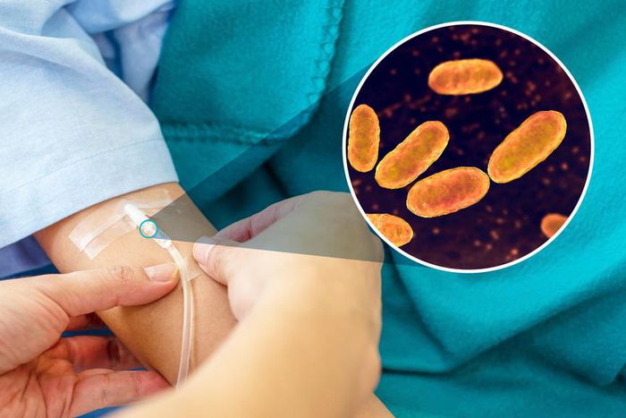 Catheter infections [Texas A&M Engineering Experiment Station - Texas A&M]