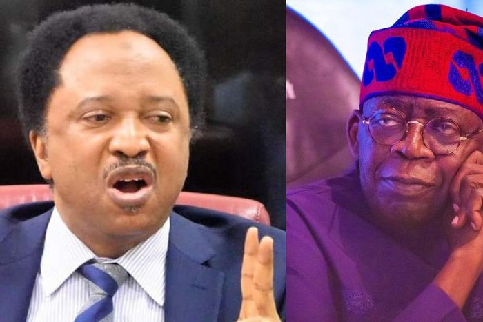 Shehu Sani and Bola Tinubu. [Facebook]