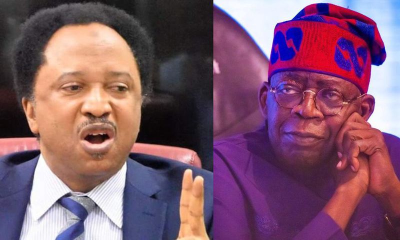 Shehu Sani and Bola Tinubu. [Facebook]