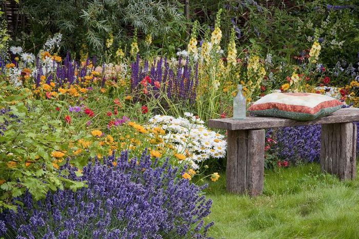 Plants the repel mosquitoes [Country Living Magazine]