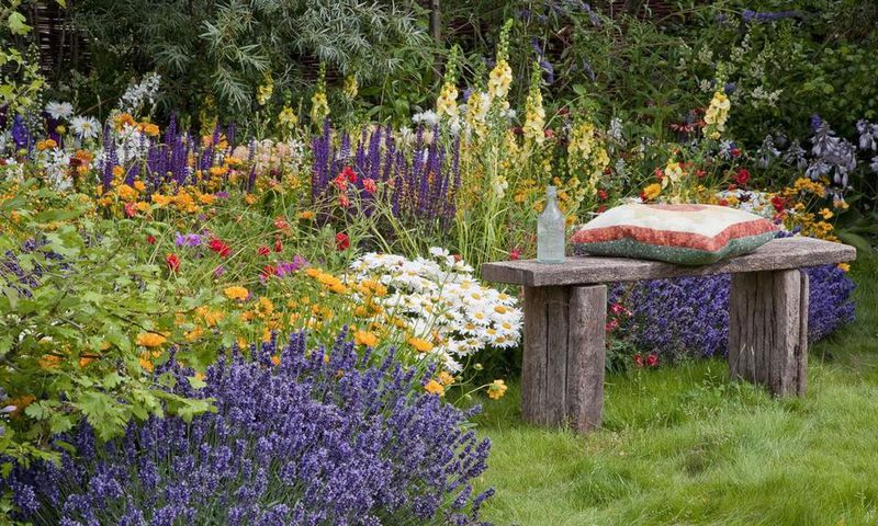 Plants the repel mosquitoes [Country Living Magazine]