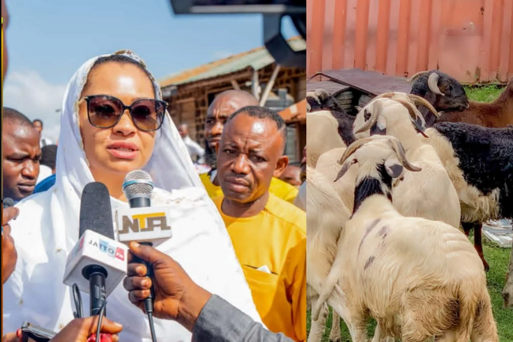 Senator Natasha distributes rams to constituents ahead of Sallah celebration