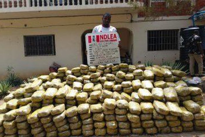 NDLEA seizes 900,000 opioid pills [Daily Post Nigeria]